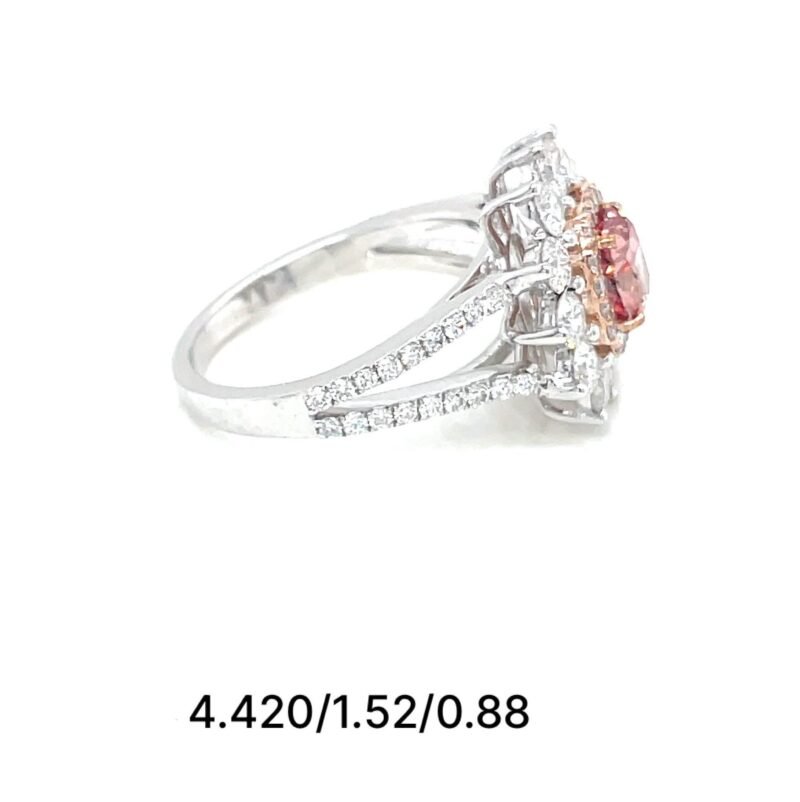 il_fullxfull.6394850632_50b9